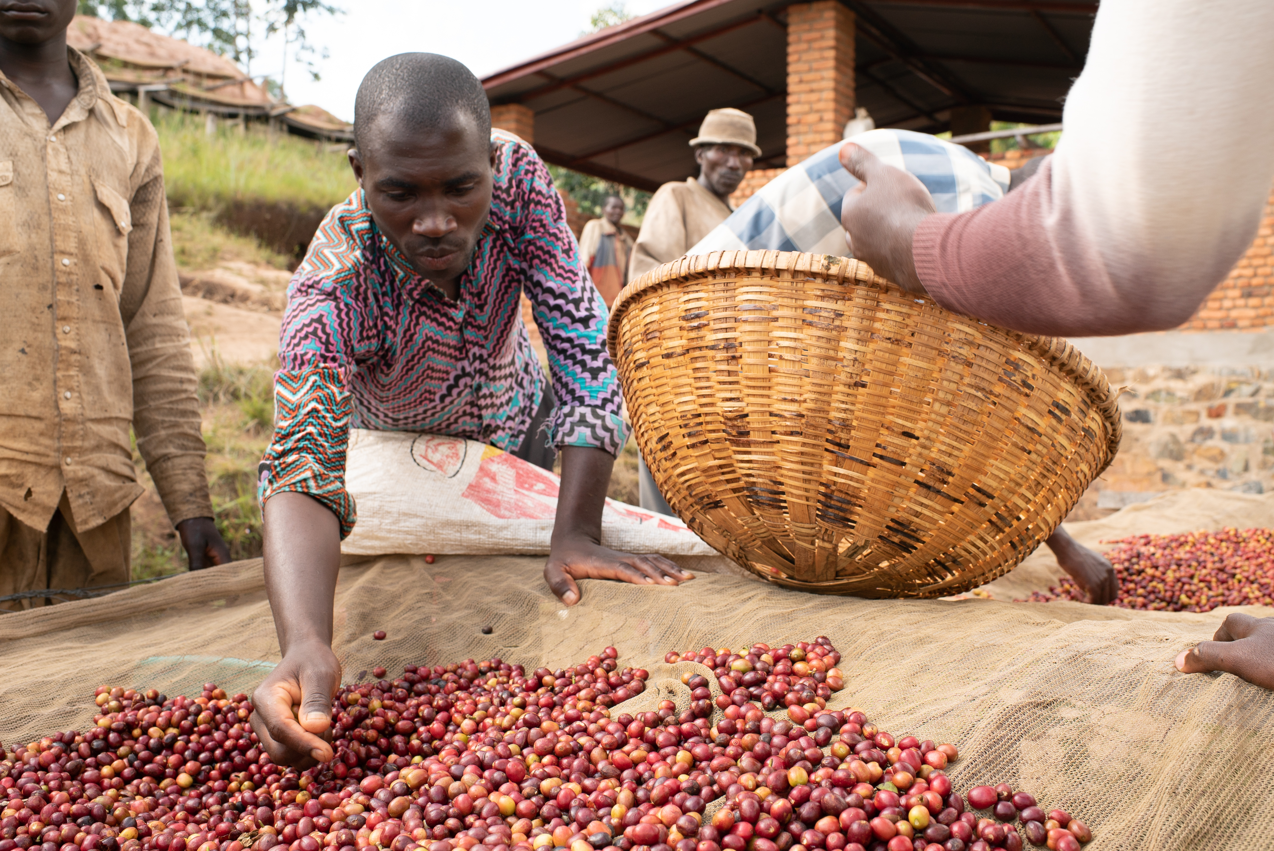 Бурунди Африка кофе